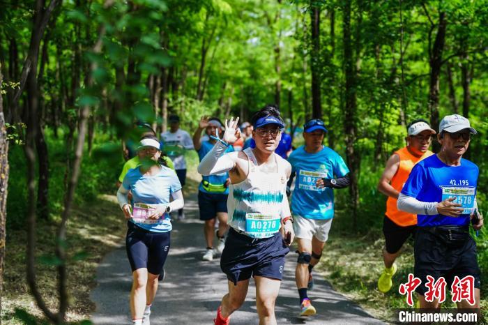 三千名跑者槐林竞速推动全民健身与县域旅游融